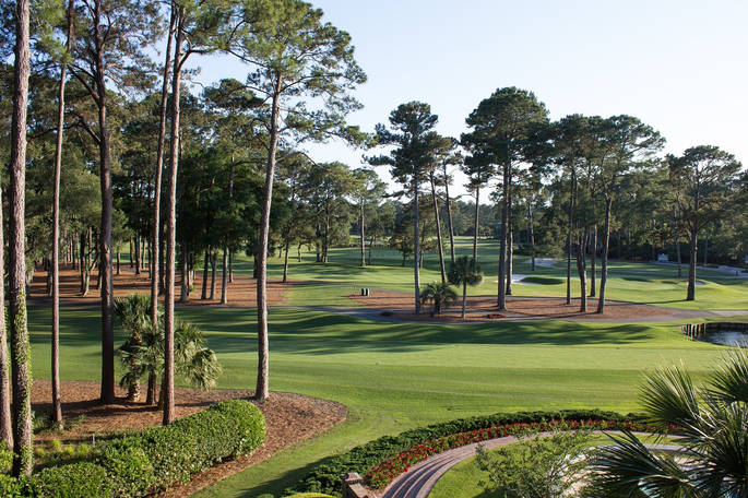 Golf Course in the USA