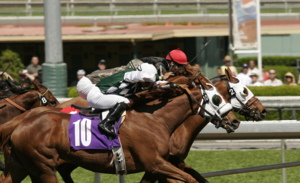 Horse Racing Close Finish