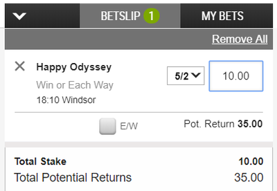 Horse Racing Win Bet