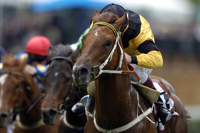 Head on View of a Horse Race