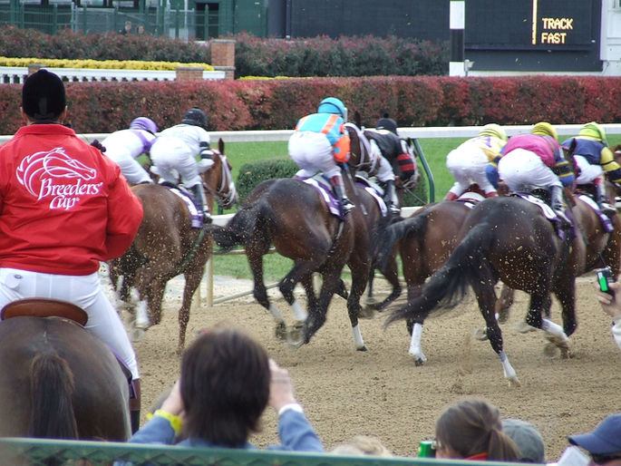 Breeders' Cup Race at Churchill Downs
