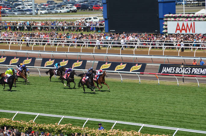 Melbourne Cup Horse race