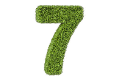 3D Grass Number 7