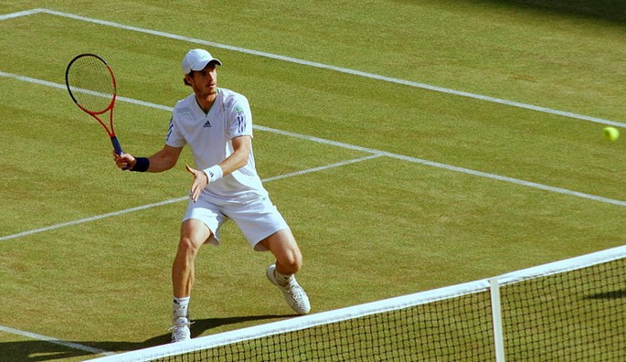 Andy Murray at Wimbledon