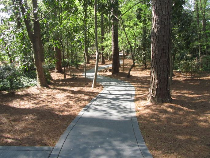 Augusta National Dogwood Cabin Pathway