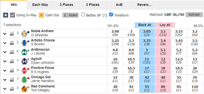 Betfair Exchange Horse Race