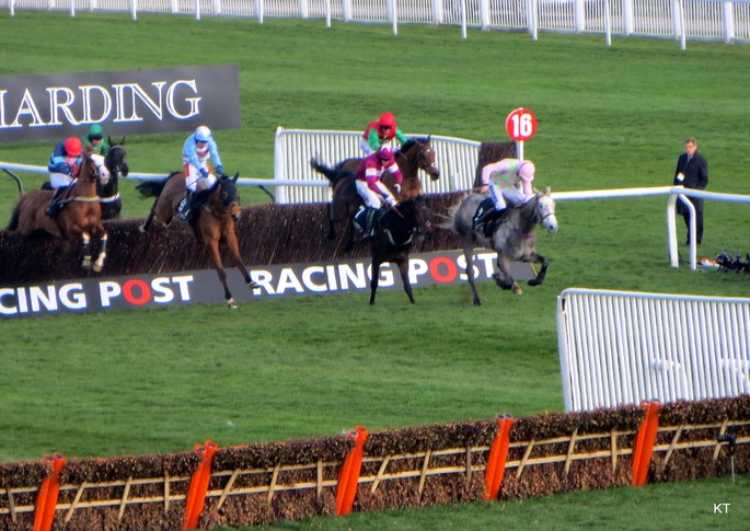 Champagne Fever Leading the 2014 Arkle Chase