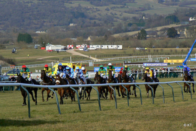 Horses Running the Cross Country Chase at Cheltenham Racecourse