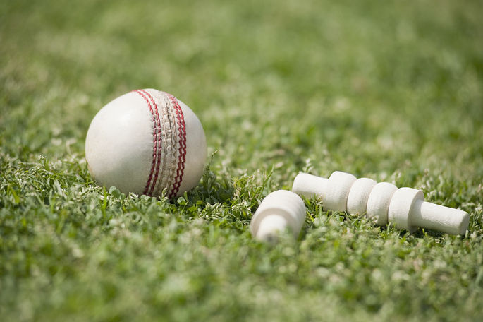 White Cricket Ball and Bails
