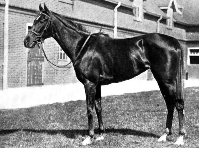 Winner of the 1917 1,000 Guineas Diadem