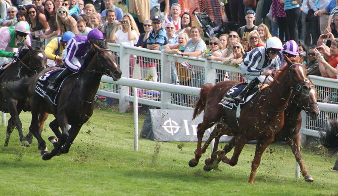 Epsom Derby & Oaks Festival