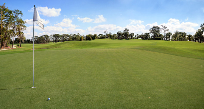 Golf Course Green with Ball Close to Pin