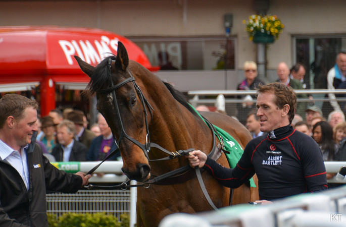 AP McCoy With Don't Push It