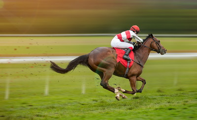 Horse and Jockey with Red and White Silks