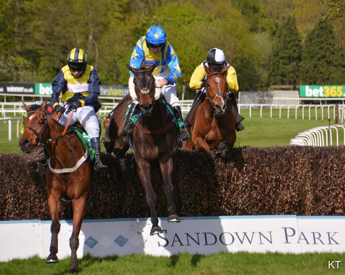 Horses Jumping Fence at Sandown