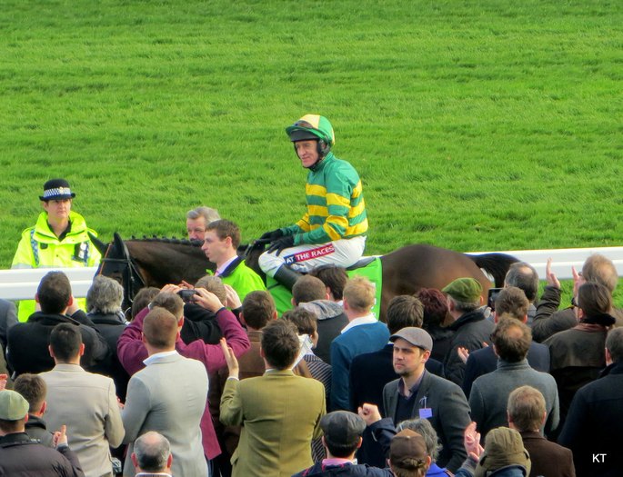 Jezki After Winning the Champion Hurdle