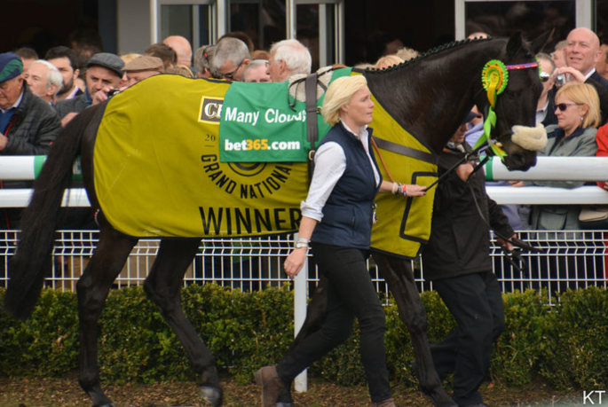 Grand National Winning Horse Many Clouds