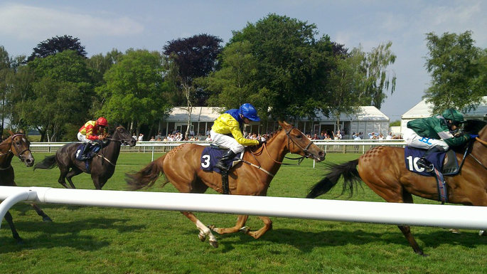 Horse Race on Newmarket's July Course