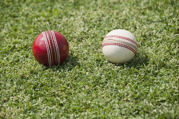 Red and White Cricket Balls Close Up on Grass